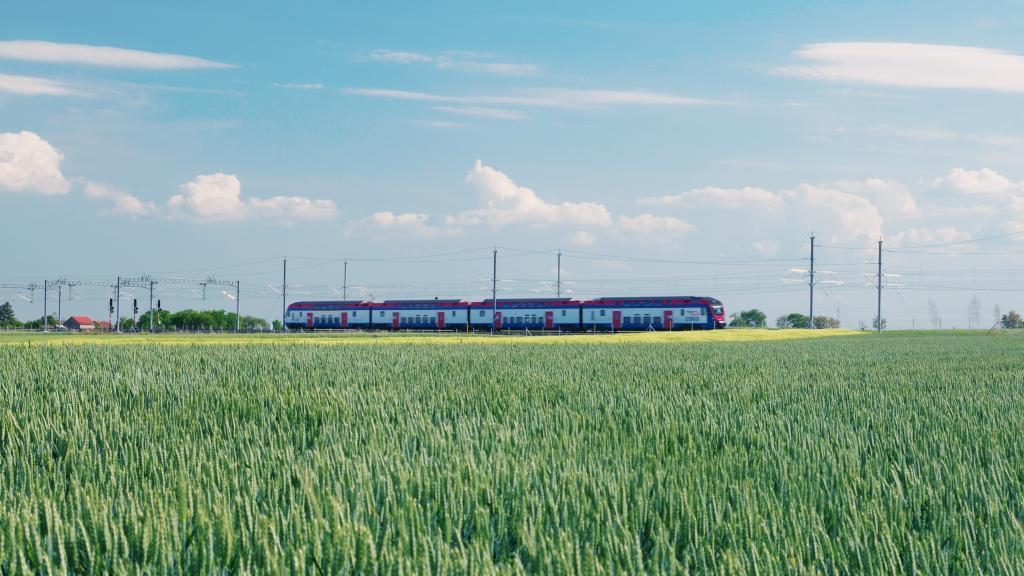 千筆樓｜一帶一路，何以大“道”？