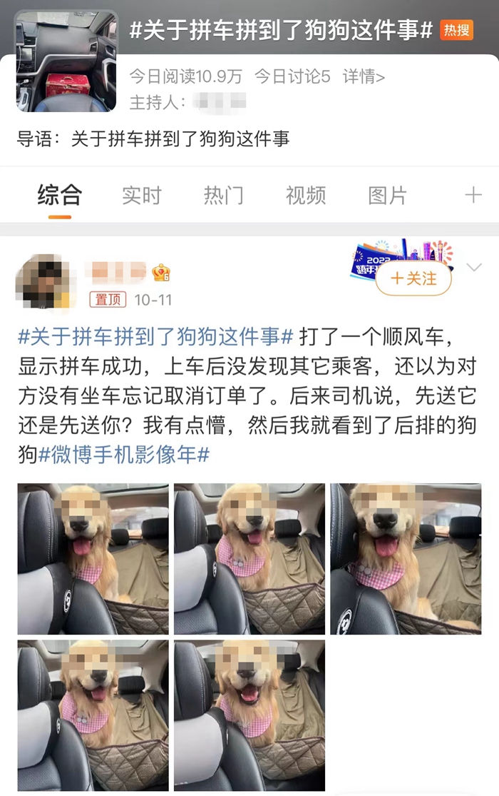 順風(fēng)車亂象：起猛了，拼車拼到狗子