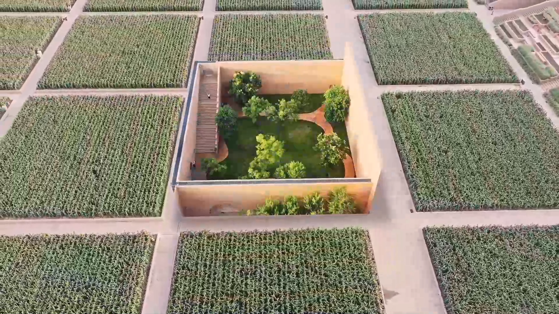 “幻城”里的高粱熟了