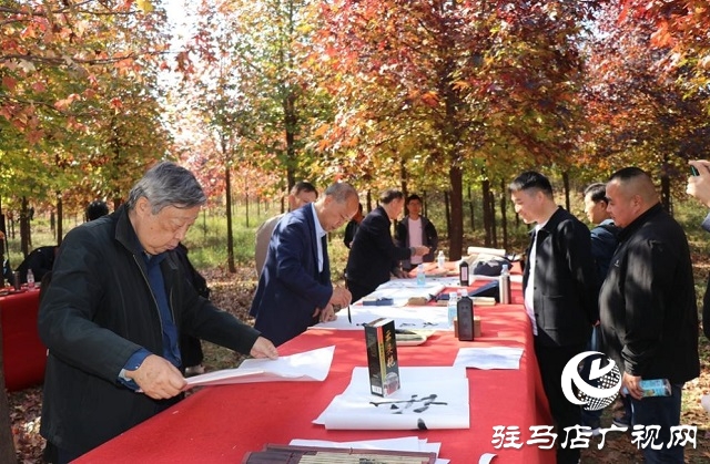 駐馬店:助力鄉(xiāng)村振興 描繪七彩畫卷