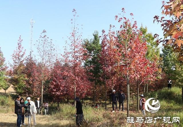 駐馬店:助力鄉(xiāng)村振興 描繪七彩畫卷