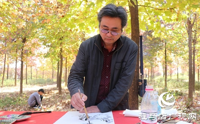 駐馬店:助力鄉(xiāng)村振興 描繪七彩畫卷