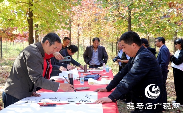 駐馬店:助力鄉(xiāng)村振興 描繪七彩畫卷