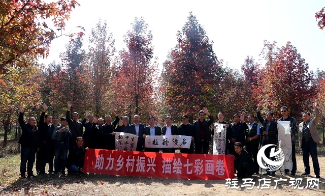 駐馬店:助力鄉(xiāng)村振興 描繪七彩畫卷