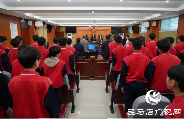 平輿:師生走進(jìn)法院“沉浸式”接受法治熏陶