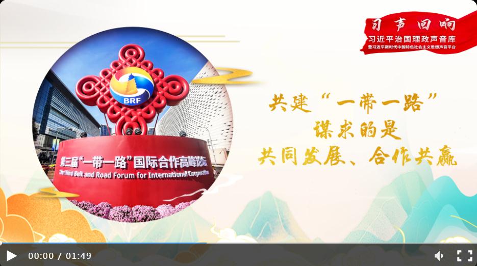 【大道共通】習(xí)聲回響丨共建“一帶一路”謀求的是共同發(fā)展、合作共贏
