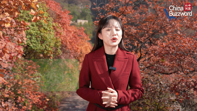 中國熱詞：霜降里的關(guān)照與溫暖