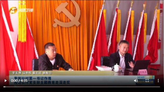發(fā)揮駐村第一書記作用 推動農(nóng)村黨支部主題教育走深走實丨學思想 強黨性 重實踐 建新功