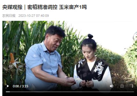央媒觀豫｜密植精準調控 玉米畝產(chǎn)1噸