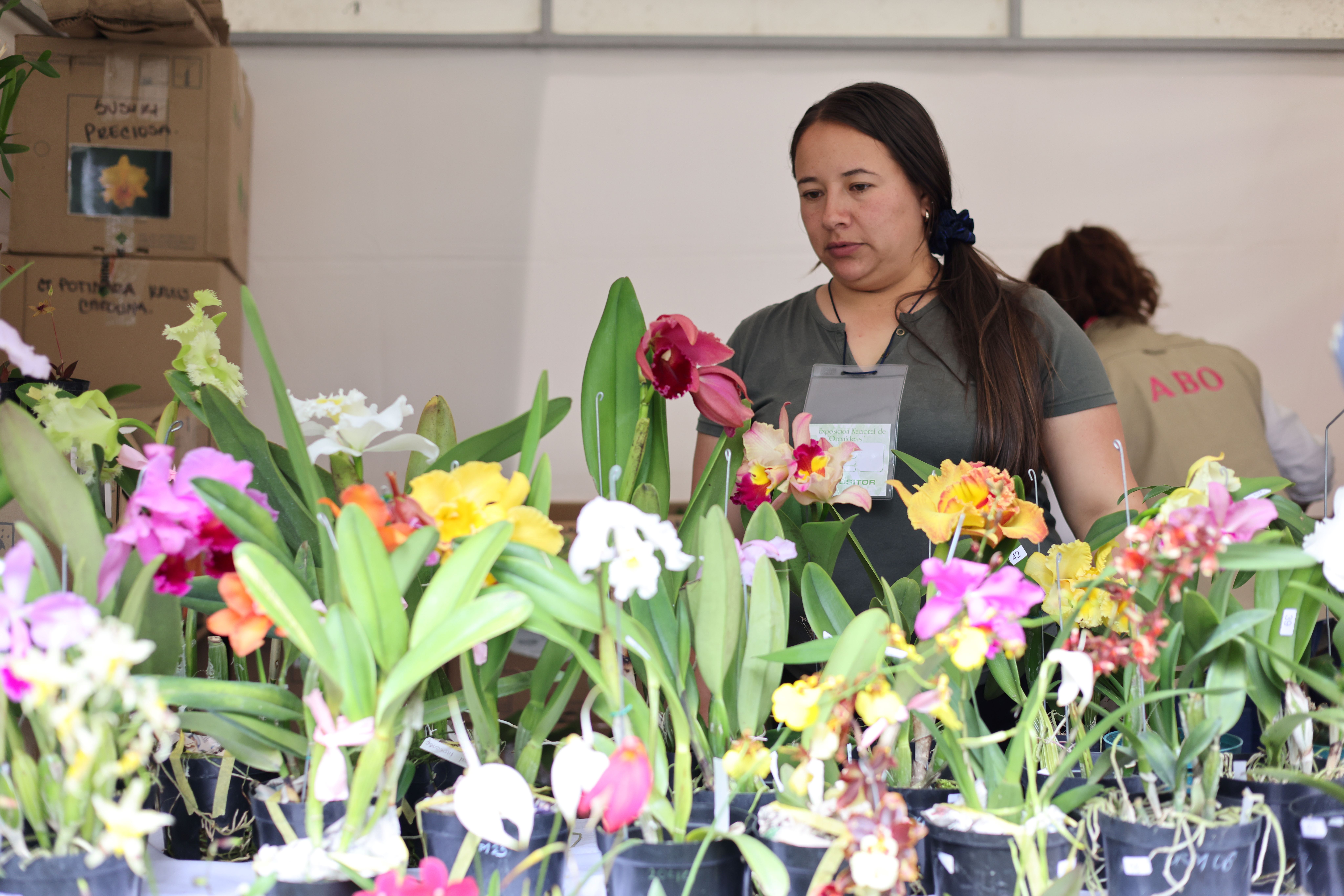 元首外交 | 擘畫新時代中哥關(guān)系藍圖