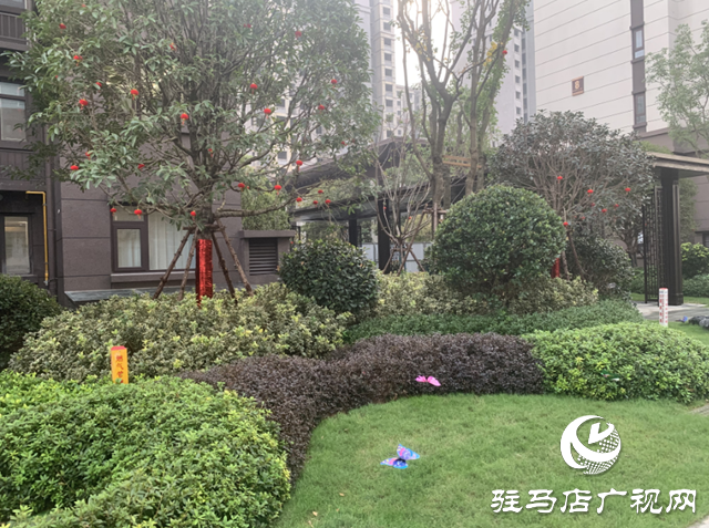 樓市新常態(tài)之下，駐馬店買房只能選擇實力派!實力盛大交付