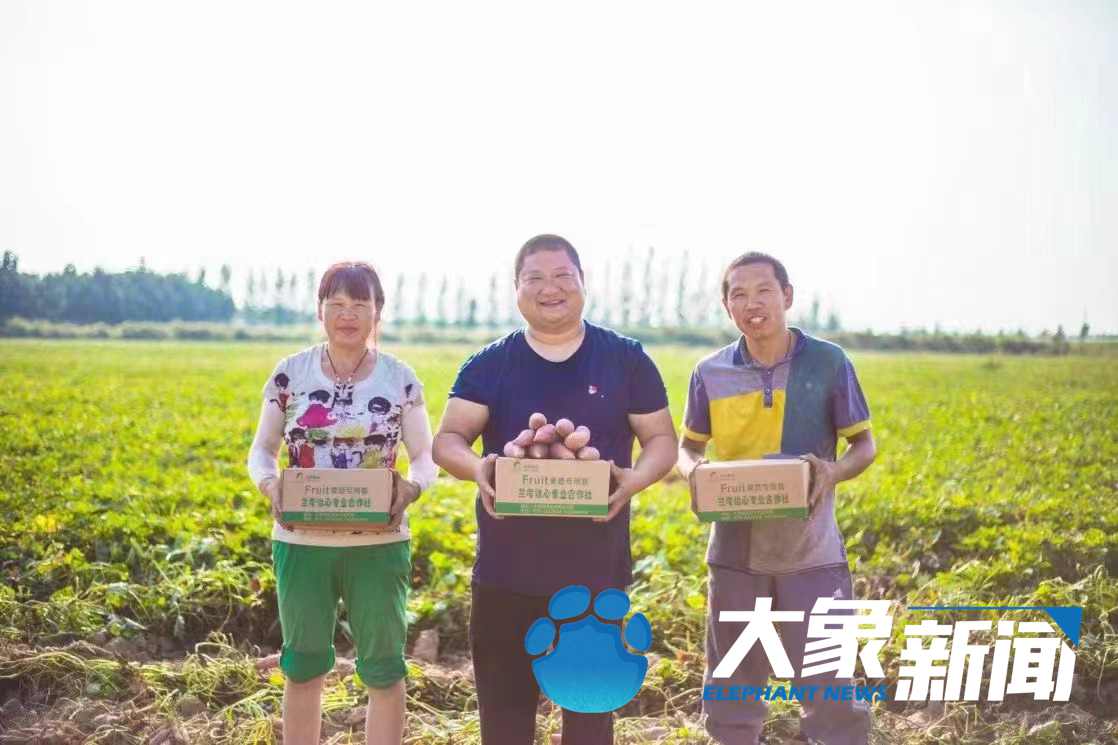 蘭考的“后浪”們，身上還是焦書記那股子“干勁”