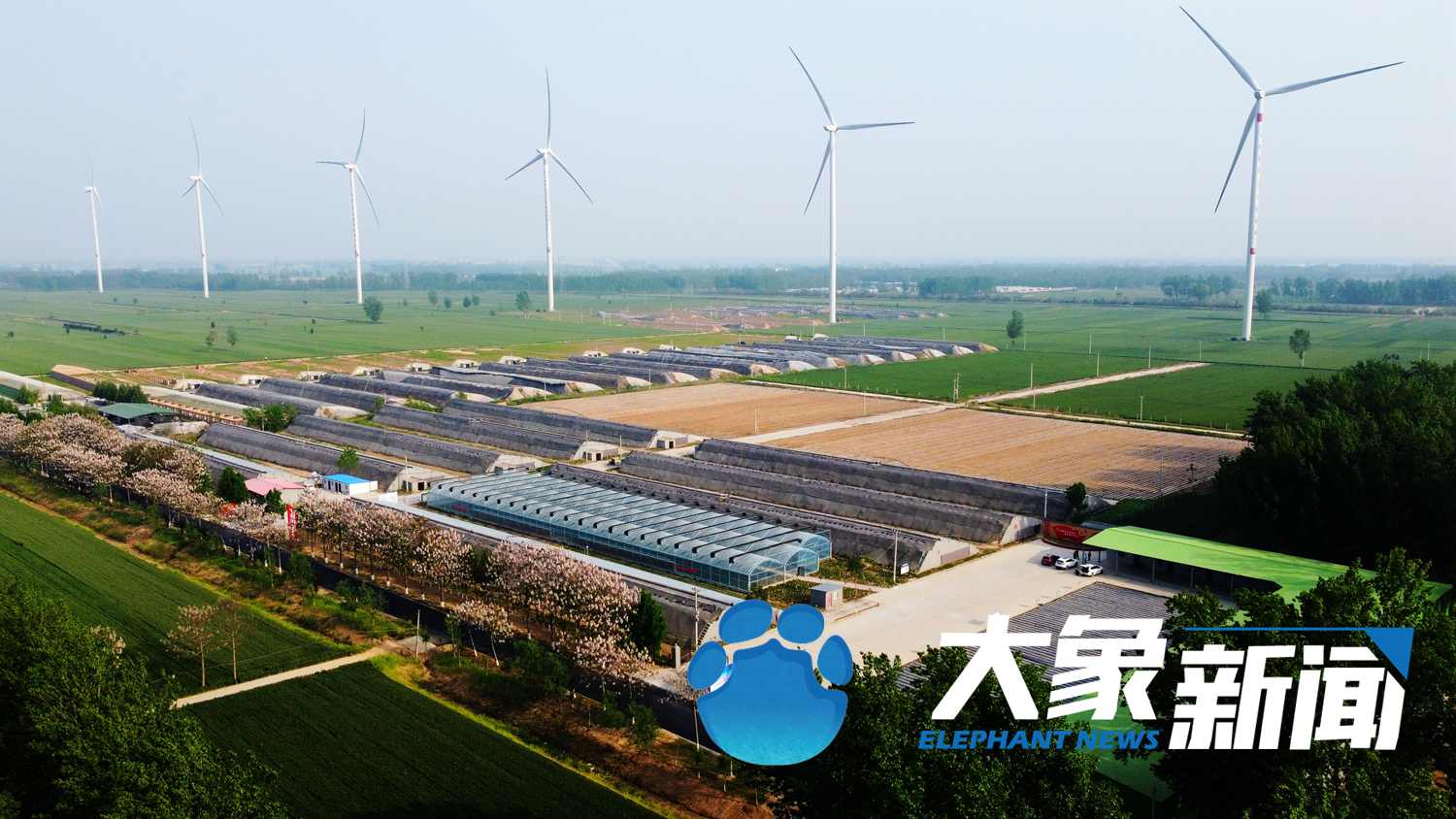 蘭考的“后浪”們，身上還是焦書記那股子“干勁”