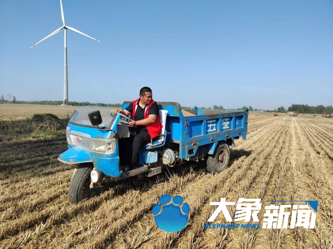 蘭考的“后浪”們，身上還是焦書記那股子“干勁”