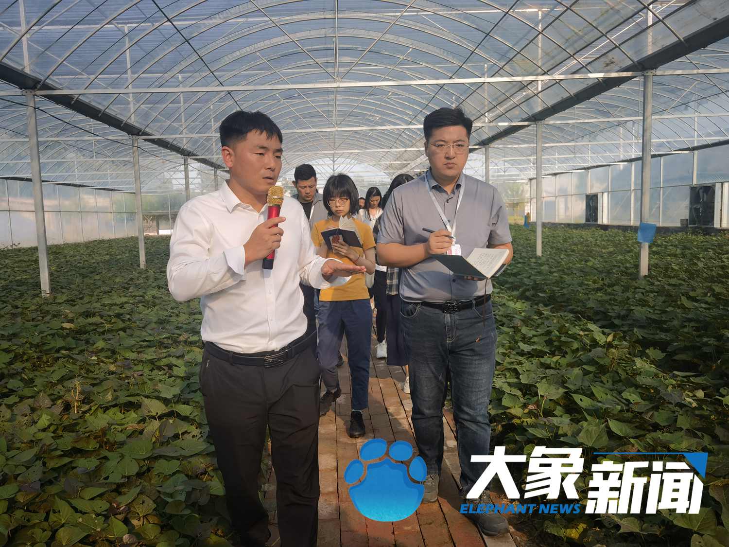 蘭考的“后浪”們，身上還是焦書記那股子“干勁”