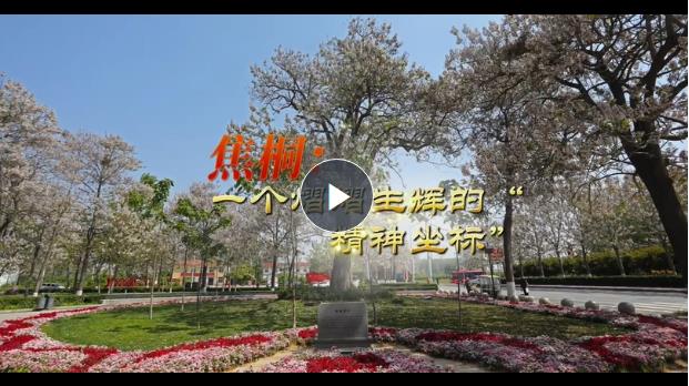 精神的力量丨焦桐，一個(gè)熠熠生輝的“精神坐標(biāo)”