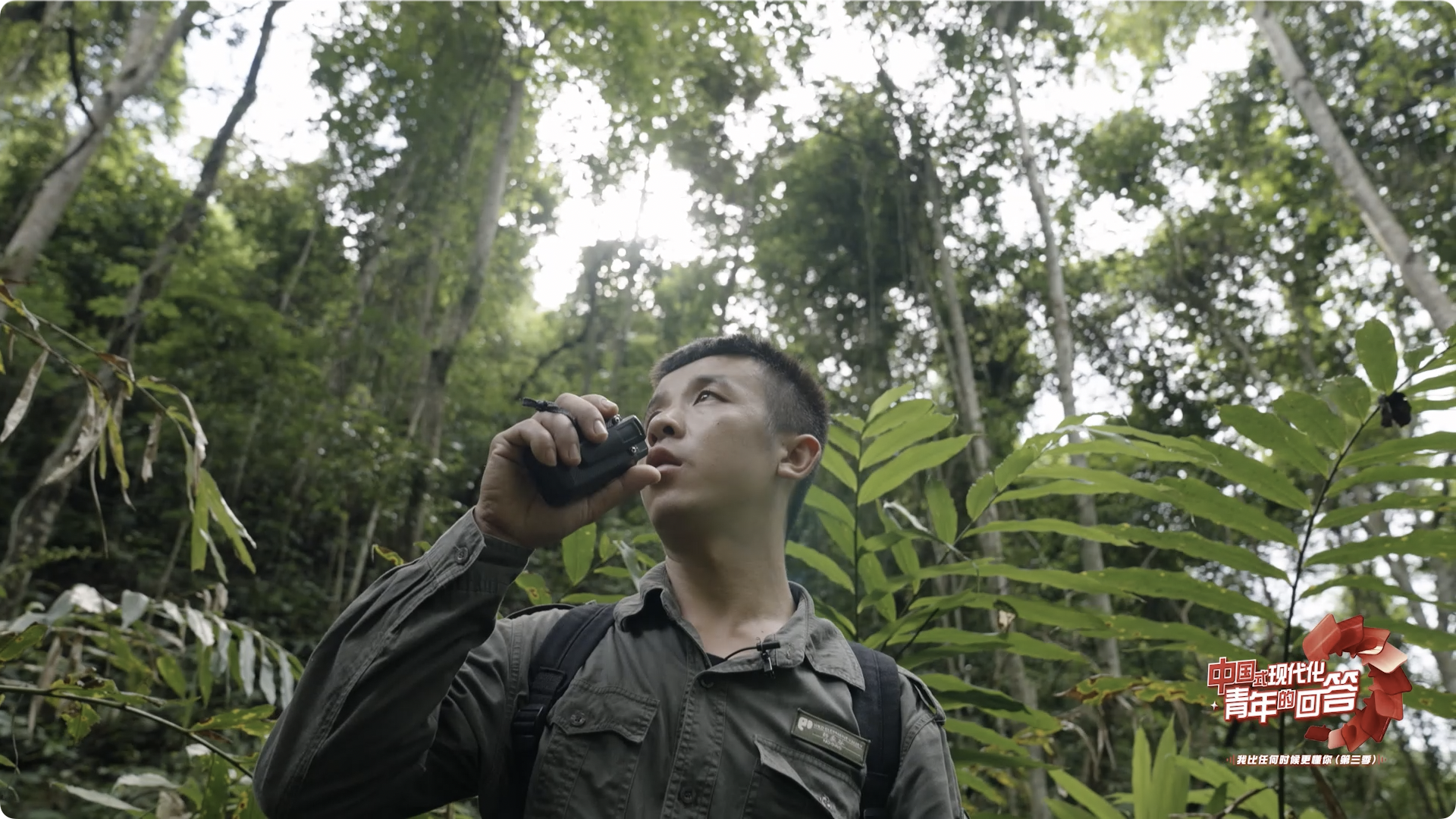 中國式現代化·青年的回答丨怎么“秒懂”熱帶雨林里的亞洲象？