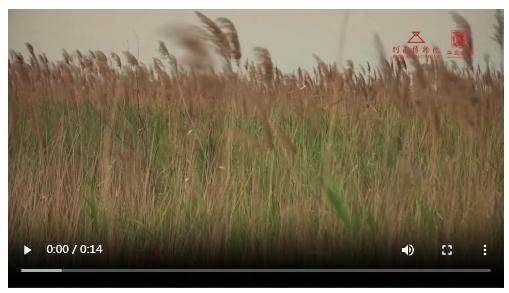 央媒觀豫丨遠(yuǎn)“骨”初音，這聲笛響“穿越”8000年