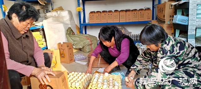 平輿縣李屯鎮(zhèn)魏樓村:“雞蛋經(jīng)濟(jì)”促農(nóng)增收