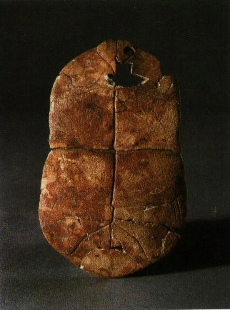 中華文明探源：五千年文明看良渚，八千年起源看這里 | 草地周刊