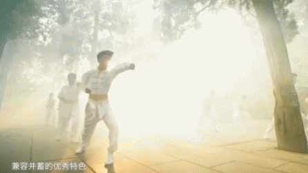 這份圖譜彰顯了少林武術(shù)源遠流長