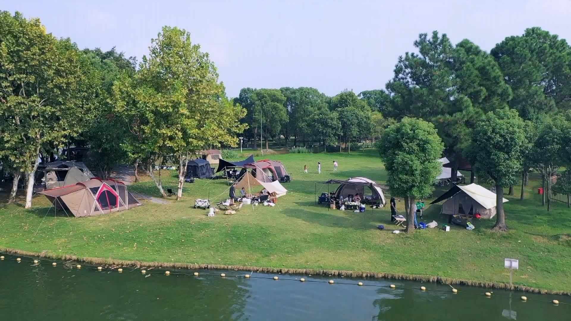 時政微視頻丨瞰上海