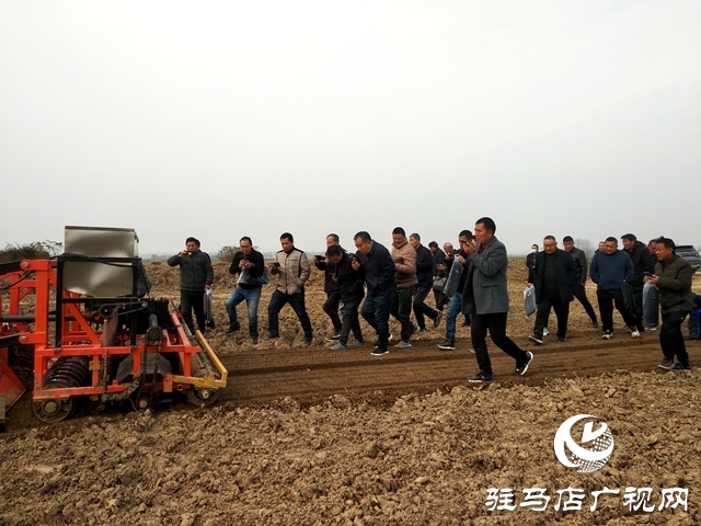 正陽縣:“棚專家”開啟多產(chǎn)業(yè)種植模式