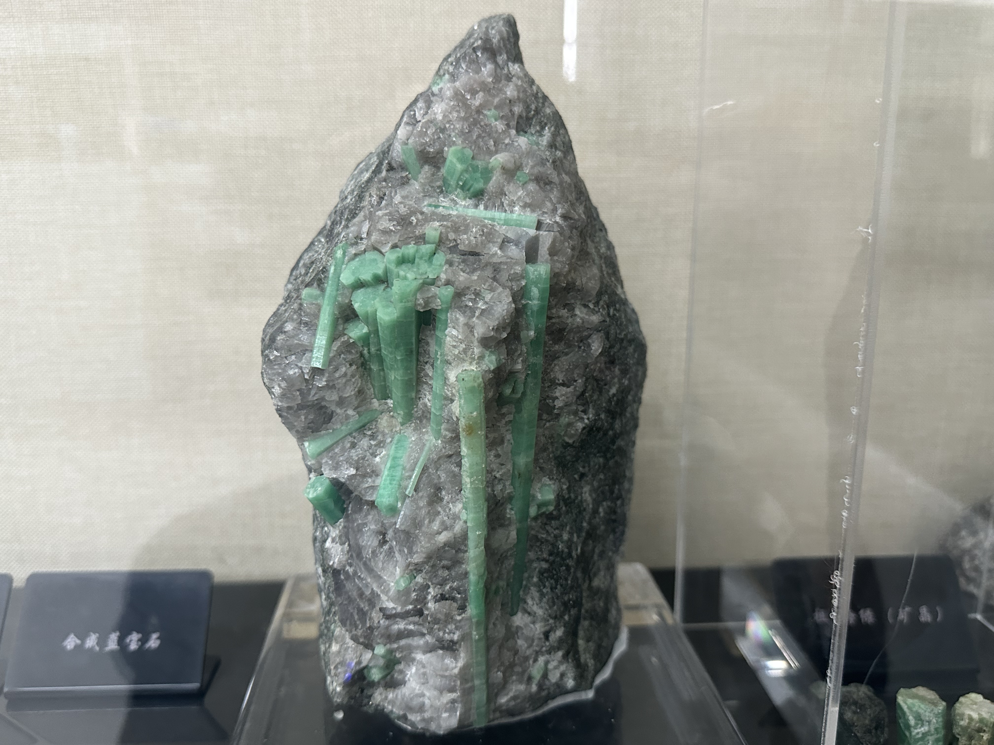 大學里的寶藏博物館?丨來一場“石”光之旅，探尋地球的記憶