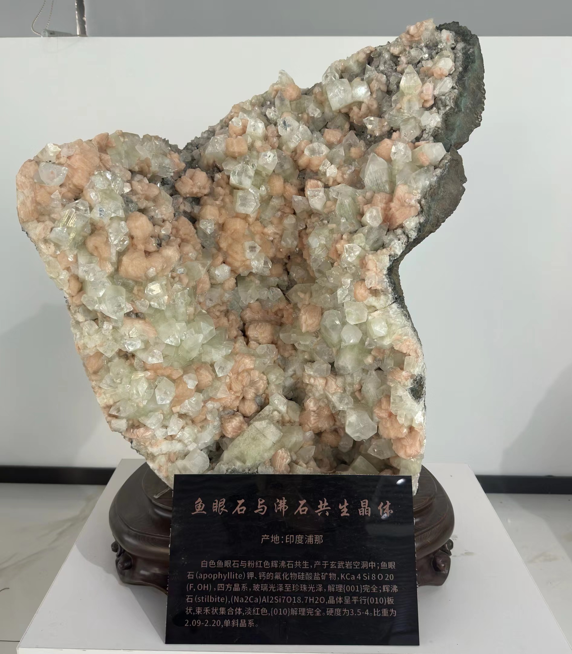 大學里的寶藏博物館?丨來一場“石”光之旅，探尋地球的記憶