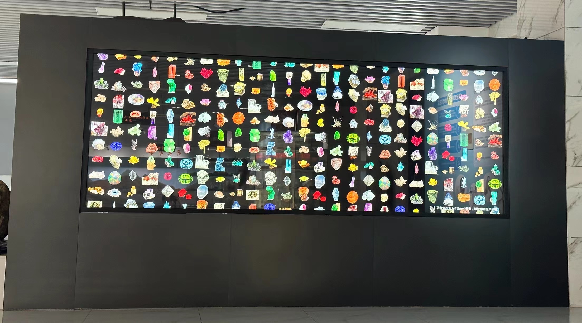 大學里的寶藏博物館?丨來一場“石”光之旅，探尋地球的記憶