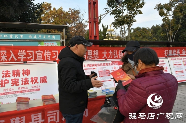 平輿縣司法局開展國家憲法日集中宣傳活動(dòng)