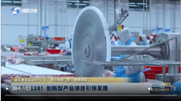 131+128！創(chuàng)新型產(chǎn)業(yè)項目引領(lǐng)發(fā)展丨高質(zhì)量發(fā)展調(diào)研行·從“零的突破”到“聚鏈成群”