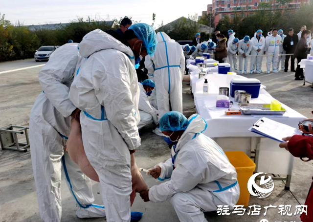 確山縣:首屆動物疫病防控技能賽上演