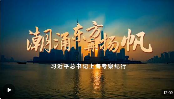 時政微紀錄丨潮涌東方再揚帆——習(xí)近平總書記上?？疾旒o行