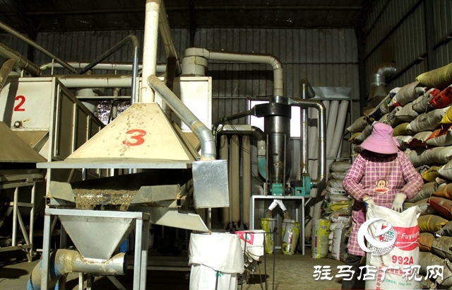 泌陽(yáng)縣黃山口鄉(xiāng)：中藥材成為群眾致富金&ldquo;藥&rdquo;匙