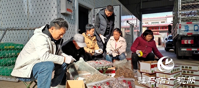 平輿縣萬冢鎮(zhèn)牛莊村:小螞蚱“蹦”出致富路助村民飛“蝗”騰達