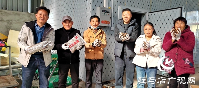 平輿縣萬冢鎮(zhèn)牛莊村:小螞蚱“蹦”出致富路助村民飛“蝗”騰達