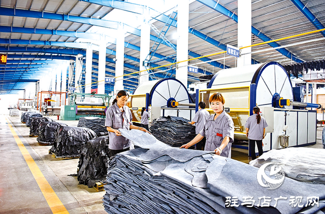 平輿縣建設“三園”同構(gòu)新模式 繪就富民強縣新時代畫卷