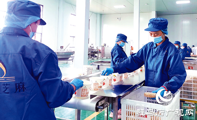 平輿縣建設“三園”同構(gòu)新模式 繪就富民強縣新時代畫卷