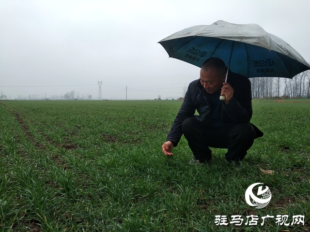 正陽(yáng)縣：產(chǎn)業(yè)鏈跑出鄉(xiāng)村振興&ldquo;加速度&rdquo;