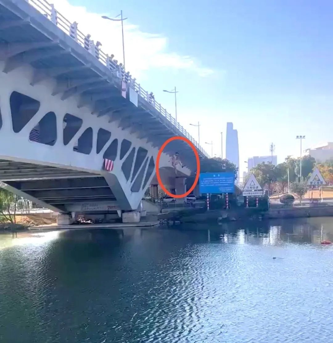 橋高20米！周口籍外賣小哥跳下救人，事發(fā)蘇州→