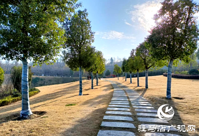 確山縣:讓樹(shù)木“溫暖”過(guò)冬