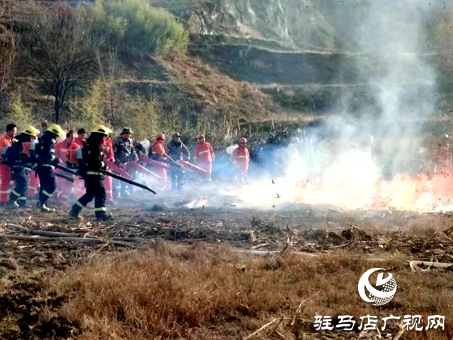駐馬店市2023年森林火災(zāi)應(yīng)急救援綜合實(shí)戰(zhàn)演練成功舉辦