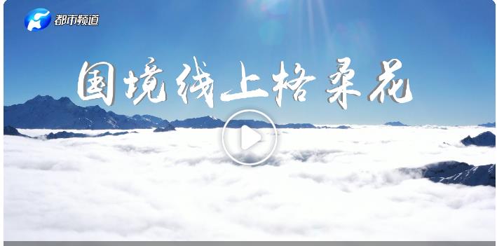 總書記的回信第二季|國境線上格?；? width=