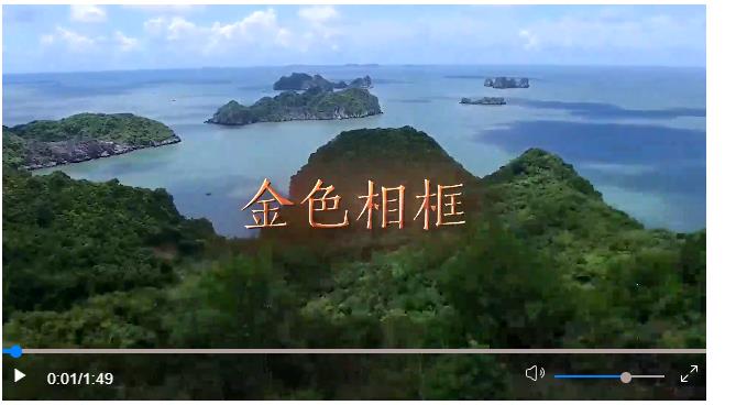 攜手奔赴中越命運共同體的美好明天——中共中央總書記、國家主席習(xí)近平越南之行紀(jì)實