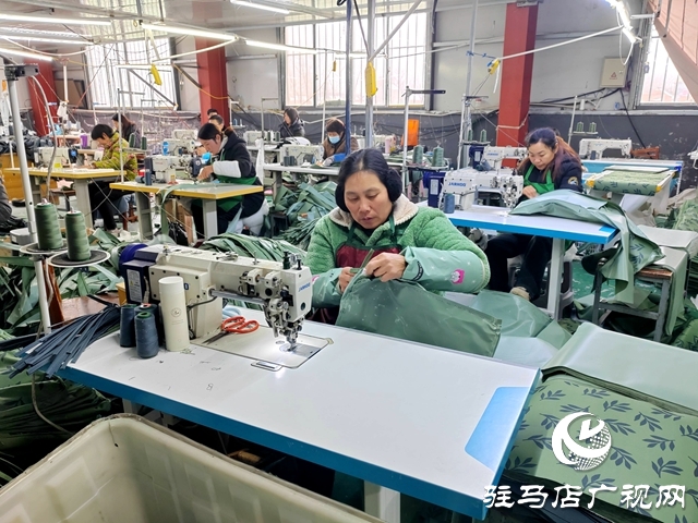 平輿縣射橋鎮(zhèn):村級(jí)共同富裕加工園增添群眾致富新活力