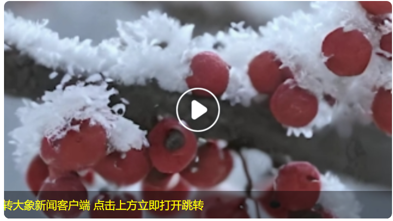 太美了！《中國(guó)節(jié)氣-冬至》動(dòng)畫還原酷似”千紙鶴“的冰花