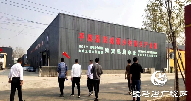 平輿縣:“三園”同構(gòu)推動富民強(qiáng)縣高質(zhì)量發(fā)展的快車道闊步前行