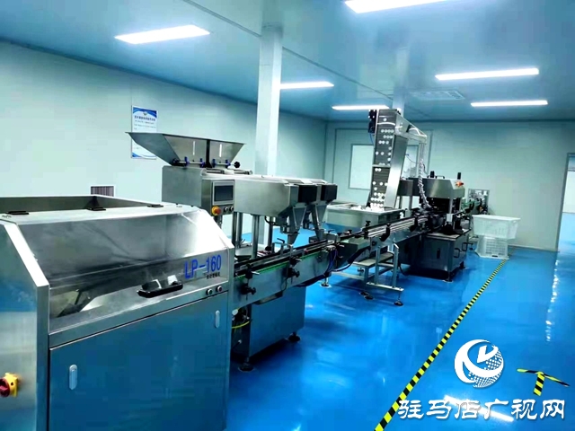 平輿縣古槐街道:共同富裕加工園圓共同富裕夢(mèng)