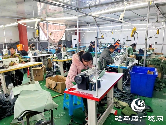 平輿縣射橋鎮(zhèn):構(gòu)建鄉(xiāng)村產(chǎn)業(yè)體系助力鄉(xiāng)村全面振興